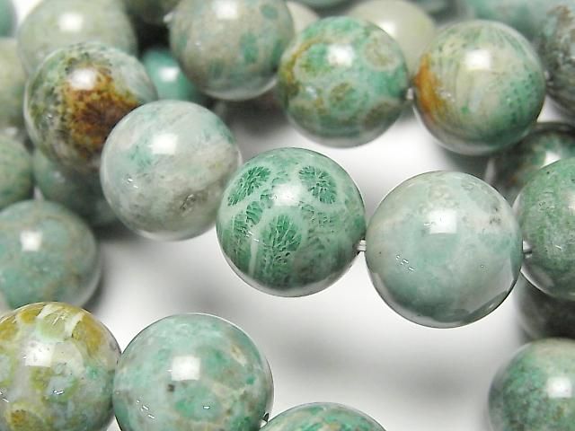 [Video] Green Fossil Coral Round 15mm Bracelet