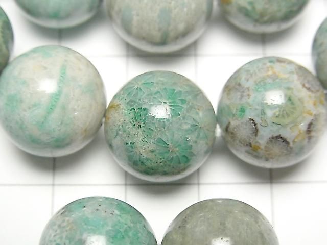 [Video] Green Fossil Coral Round 15mm Bracelet