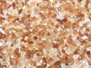 Amphibole in Quartz Undrilled Chips 100g