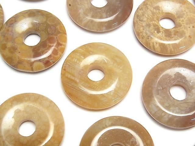 [Video] Fossil Coral Coin (Donut) 25x25mm 2pcs