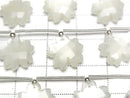 [Video] High Quality White Moonstone AA++ Flower Shape 1strand beads (6pcs)