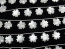 [Video] High Quality White Moonstone AA++ Flower Shape 1strand beads (6pcs)
