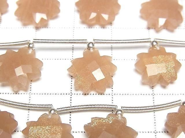 [Video] High Quality Orange Moonstone AAA- Flower Shape 1strand beads (6pcs)