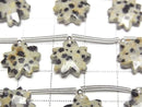 [Video] Dalmatian Jasper Flower Shape 1strand beads (6 pcs)