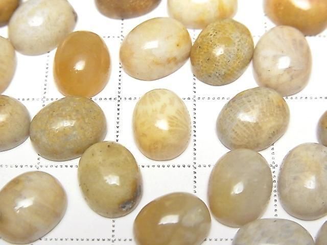 [Video] Fossil Coral Oval Cabochon 10x8mm 5pcs