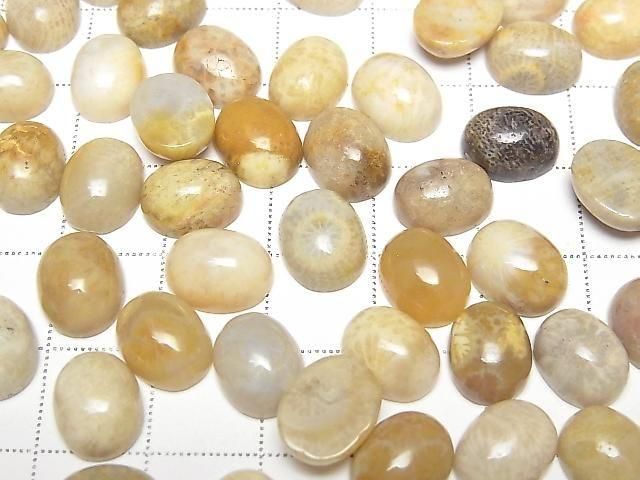 [Video] Fossil Coral Oval Cabochon 10x8mm 5pcs