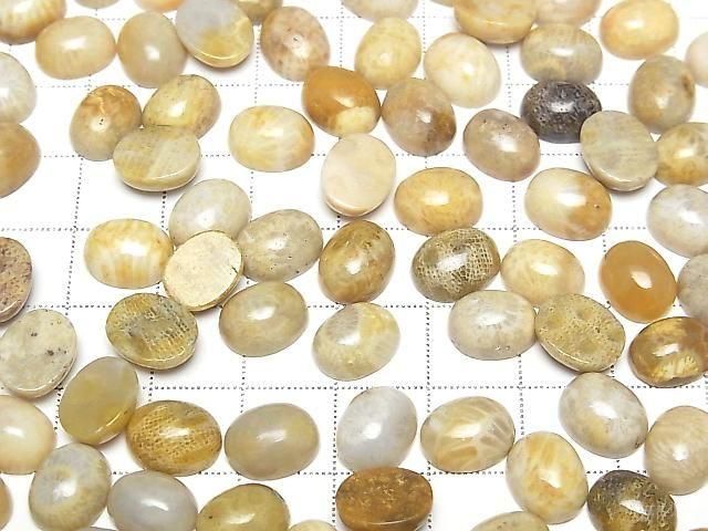 [Video] Fossil Coral Oval Cabochon 10x8mm 5pcs