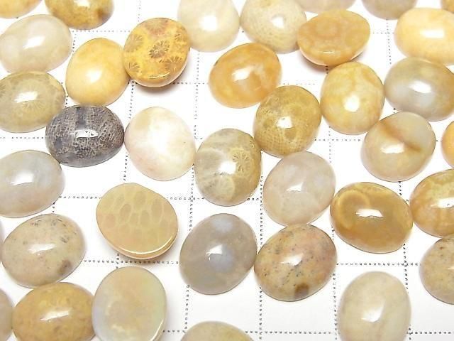 [Video] Fossil Coral Oval Cabochon 12x10mm 4pcs