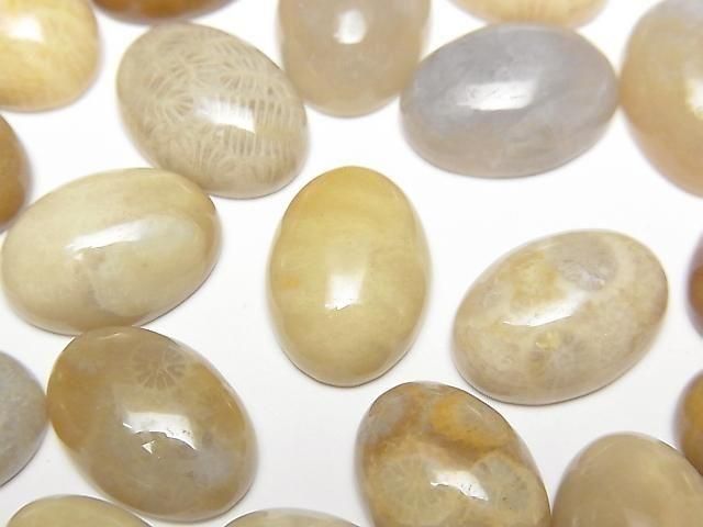 [Video] Fossil Coral Oval Cabochon 14x10mm 2pcs