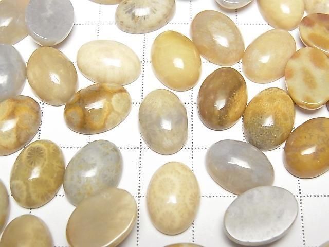 [Video] Fossil Coral Oval Cabochon 14x10mm 2pcs