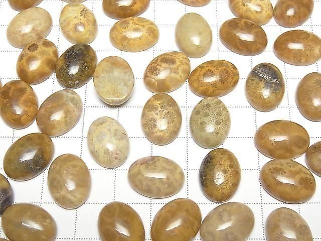 [Video] Fossil Coral Oval Cabochon 16x12mm 2pcs