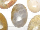 [Video] Fossil Coral Oval Cabochon 30x20mm 1pc