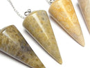 [Video] Fossil Coral Pendulum (Smooth) 36x18x18mm with Chain (1pc)