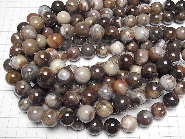 [Video]Petrified Wood Round 16mm half or 1strand beads (aprx.15inch/36cm)