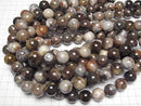 [Video]Petrified Wood Round 16mm half or 1strand beads (aprx.15inch/36cm)