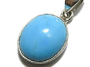 [Video][One of a kind] Kingman Turquoise AAA- Pendant Silver925 NO.325