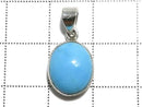 [Video][One of a kind] Kingman Turquoise AAA- Pendant Silver925 NO.325
