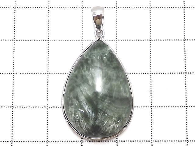 [Video][One of a kind] Seraphinite AAA Pendant Silver925 NO.31