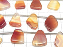 [Video] Mixed Carnelian Slice Nuggets 1strand beads (11 pcs)
