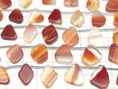 [Video] Mixed Carnelian Slice Nuggets 1strand beads (11 pcs)