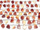 [Video] Mixed Carnelian Slice Nuggets 1strand beads (11 pcs)