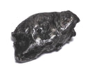 [Video][One of a kind] Meteorite (Sikhote-Alin Meteorite) 1pc NO.13