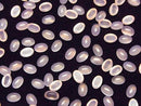 [Video] Pink Chalcedony AAA Oval Cabochon 6x4mm 10pcs