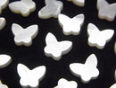 [Video] High Quality White Shell (Silver-lip Oyster) Butterfly 8x6x2mm 4pcs