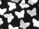 [Video] High Quality White Shell (Silver-lip Oyster) Butterfly 10x8x2mm 4pcs