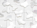 [Video] High Quality White Shell (Silver-lip Oyster) Butterfly 10x8x2mm 4pcs