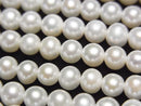 [Video] Fresh Water Pearl AA++ Semi Round-Potato 5-5.5mm White 1strand beads (approx. 15 inches/37 cm)