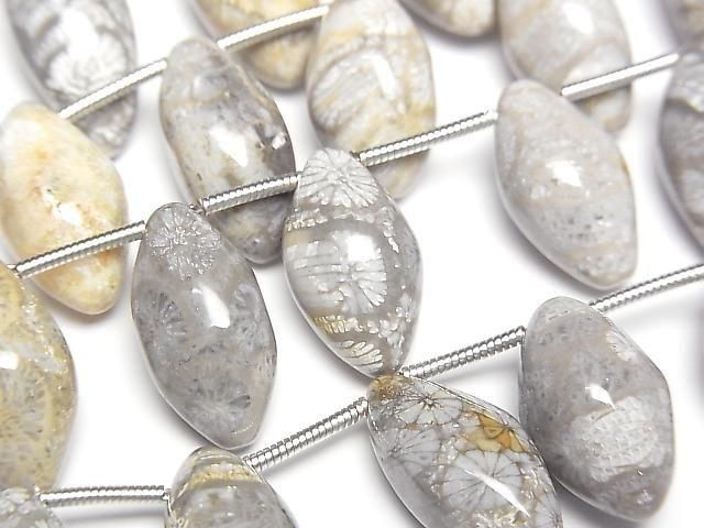 [Video]Fossil Coral Marquise Rice (Smooth) 1strand beads (aprx.7inch/17cm)