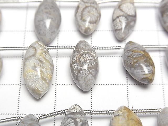 [Video]Fossil Coral Marquise Rice (Smooth) 1strand beads (aprx.7inch/17cm)