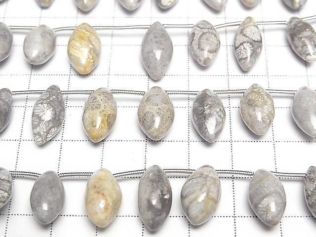 [Video]Fossil Coral Marquise Rice (Smooth) 1strand beads (aprx.7inch/17cm)