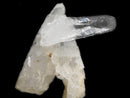[Video][One of a kind] Lemurian Seed Crystal Raw Stone 1pc NO.2