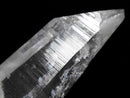 [Video][One of a kind] Lemurian Seed Crystal Raw Stone 1pc NO.14