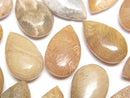 [Video] Fossil Coral Pear Shape (Smooth) 20x12mm 2pcs