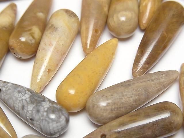 [Video] Fossil Coral Drop (Smooth) 25x8mm 2pcs