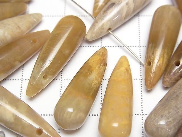 [Video] Fossil Coral Drop (Smooth) 25x8mm 2pcs