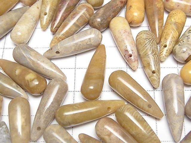 [Video] Fossil Coral Drop (Smooth) 25x8mm 2pcs
