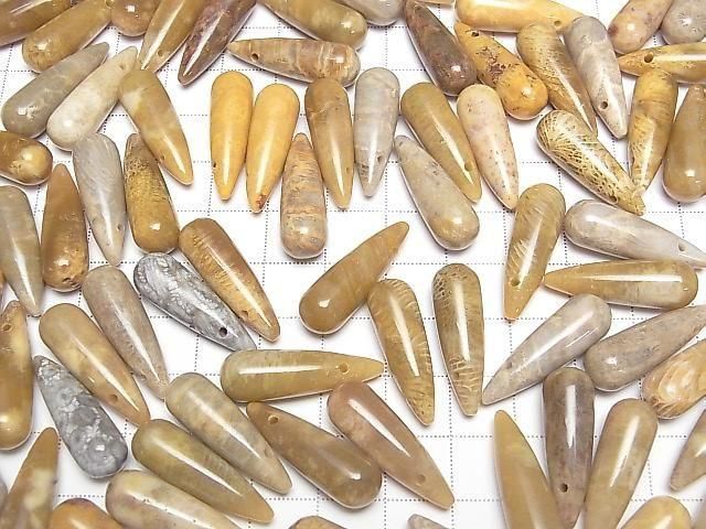 [Video] Fossil Coral Drop (Smooth) 25x8mm 2pcs