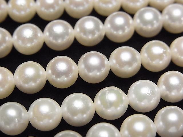 [Video] Japanese Akoya Pearls AAA- Round 6-6.5mm White Half or 1strand beads (approx. 15inch/38cm)