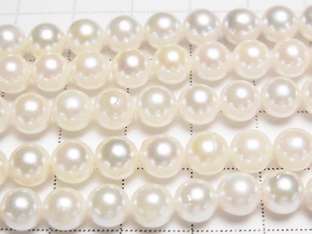 [Video] Japanese Akoya Pearls AAA- Round 6-6.5mm White Half or 1strand beads (approx. 15inch/38cm)