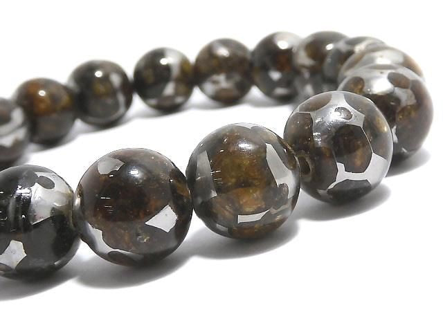 [Video][One of a kind] Kenyan Sericho Pallasite Meteorite Round 12mm Bracelet NO.9