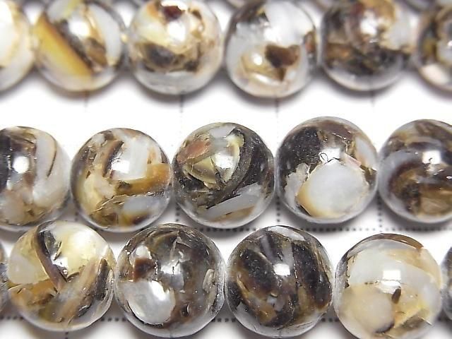 [Video] Mosaic Shell Round 10mm Black 1strand beads (approx. 15 inches/38 cm)
