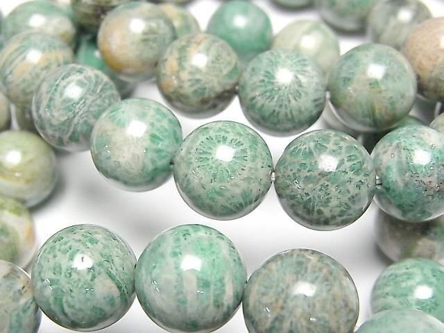 [Video] Green Fossil Coral Round 12mm Bracelet
