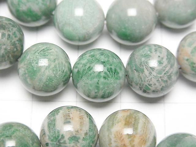 [Video] Green Fossil Coral Round 12mm Bracelet