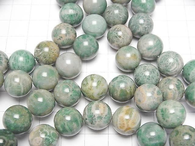 [Video] Green Fossil Coral Round 12mm Bracelet