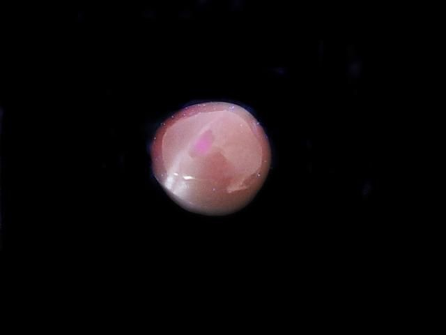 Alexandrite Cat's Eye Cabochon 1pc NO.2 [One of a kind]
