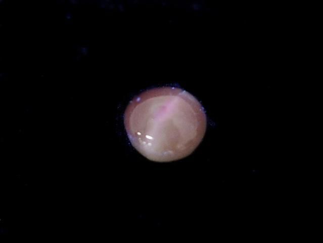 Alexandrite Cat's Eye Cabochon 1pc NO.3 [One of a kind]